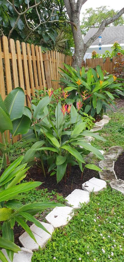 Tropical Hideaway! Lejlighed Fort Lauderdale Eksteriør billede